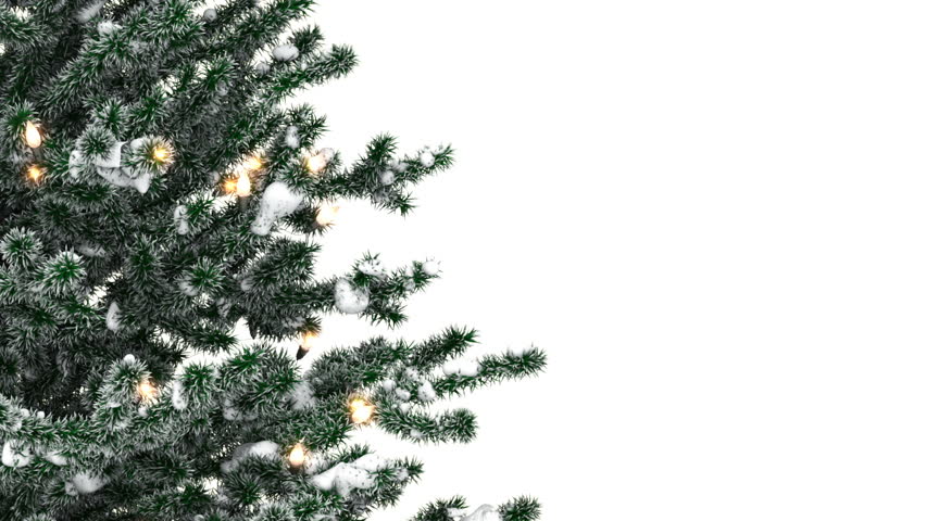 Download Christmas Tree With Light Bulbs Stock Footage Video 100 Royalty Free 21712582 Shutterstock PSD Mockup Templates