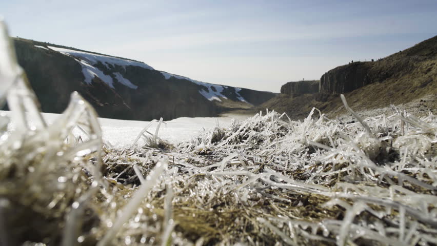 Dolly shot of frosted dried plants and windswept snow on Icelandic landscape

