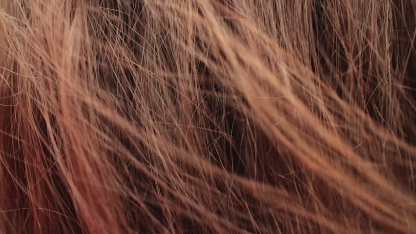 Abstract Hair Flowing Wind - Stock Footage Video (100% Royalty-free ...
