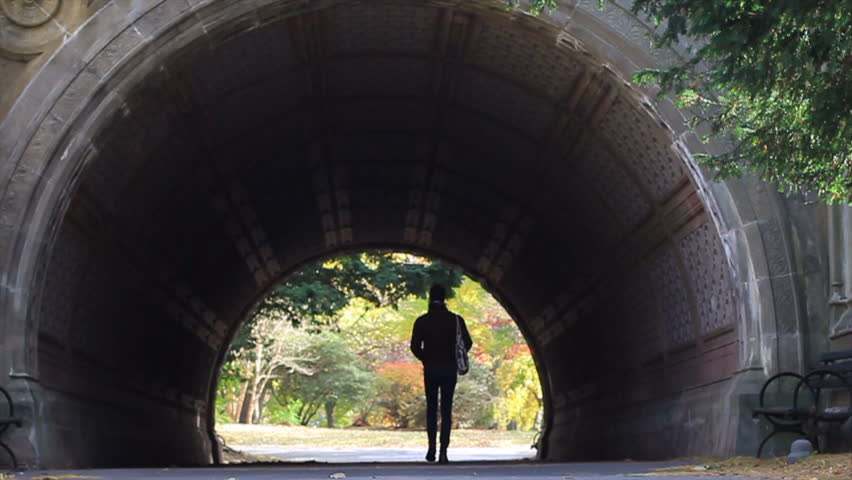 A Man in Silhouette walks Through A Tunnel in Prospect Park (or could be Central Park) as Fall Leaves Swirl in the Wind 