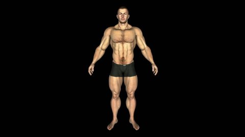 Human Bodybuilder Animation Loop Alpha Stock Footage Video (100% ...