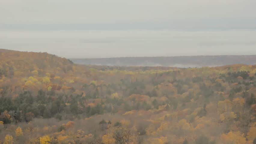 Tight Shot of Michigan Landscape during a Foggy and Cloudy Fall Afternoon 4K UHD Timelapse