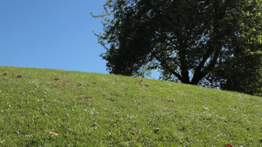 Female dancing and jumping on hill in park