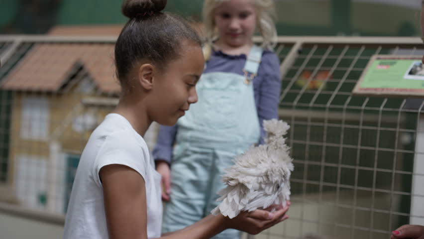 4K Man and little girls at community farm, petting chick and talking to keeper (UK-Oct 2016)