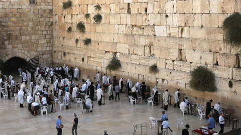 JERUSALEM, ISRAEL- SEPTEMBER, 21, 2016: high angle wide view of jewish men praying and worshiping at the wailing wall wide in jerusalem