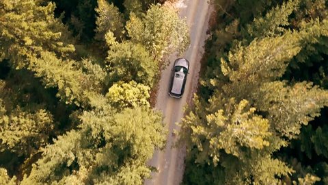 Slow Motion Footage Of Car Driving Through Forest Road Drone Travel Countryside Adventure Tree Autumn Nature Scenic Green Trip Stockvideo