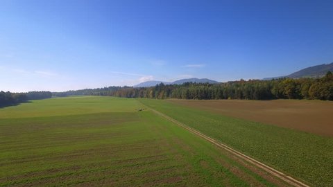 Peaceful countryside in autumn aerial shot / Cinematic drone flight over a large field, with forest in the background
