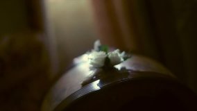 Beautiful Boutonniere Made From the White Rose lying on the globe in the library - Powered by Shutterstock - Get 15% off with code: PIKWIZARD15