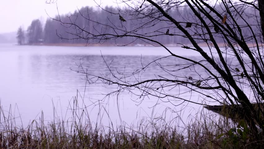 Grey autumn shore ladscape with sleet falling over the lake behind trees.
