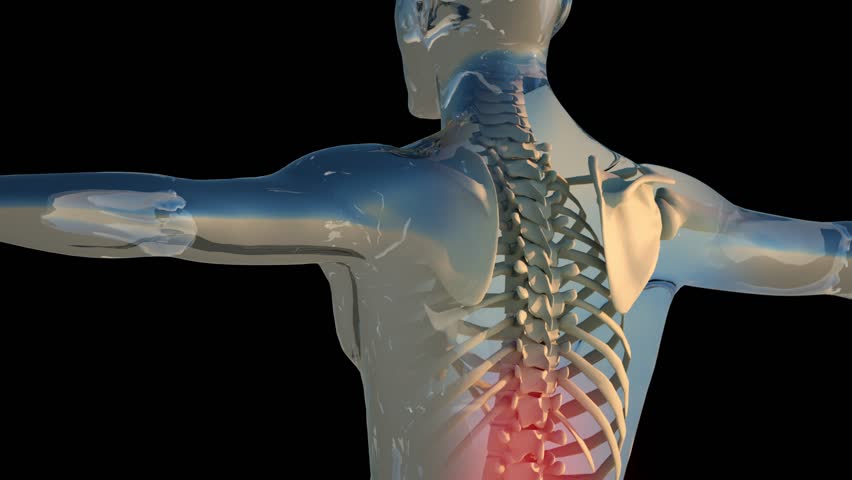 Spine pain and lower back blue concept | Shutterstock HD Video #21779905