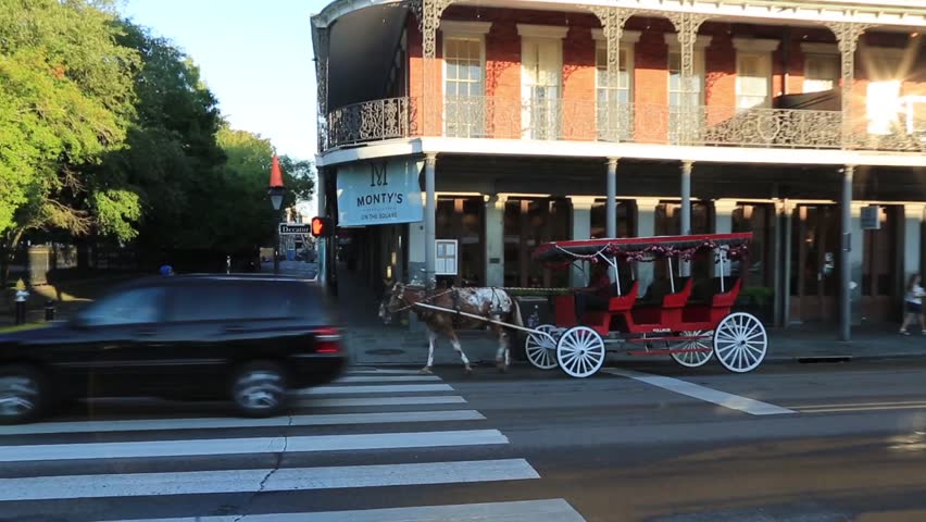 Horse Drawn Carriage on Street in Downtown New Orleans