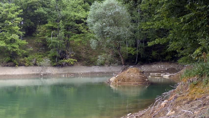 Lake of the Woods. Beautiful landscape. Forest.