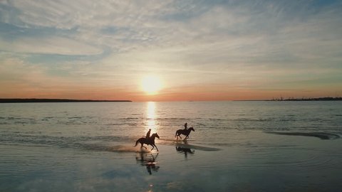 Two GIrls are Riding Horses on a Beach. Horses Run Towards the Sea. Beautiful Sunset is Seen in this Aerial Shot. Shot on Phantom 4K UHD Camera.