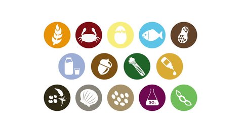 Food allergens icons motion graphics animation 
