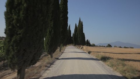 CAR POV WS Driving down dirt road lined with cypress trees / Tuscany, Italy