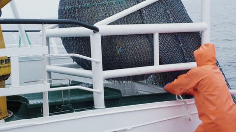 Fisherman Opens Trawl Net with Caugth Fish on Board of Commercial Fishing Ship. Shot on RED Cinema Camera in 4K (UHD).