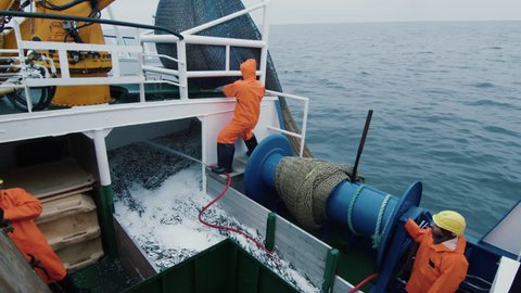Crew of Fishermen Open Trawl Net with Caugth Fish on Board of Commercial Fishing Ship. Shot on RED Cinema Camera in 4K (UHD).