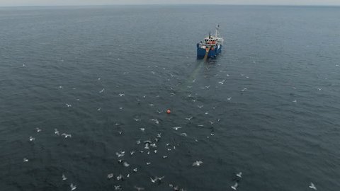 Flying towards a Commercial Fishing Ship that Pulls Trawl Net. Shot on Phantom 4K UHD Camera.