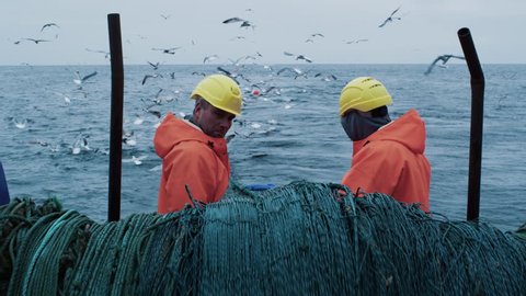 Crew of Fishermen Work on Commercial Fishing Ship that Pulls Trawl Net. Shot on RED Cinema Camera in 4K (UHD).