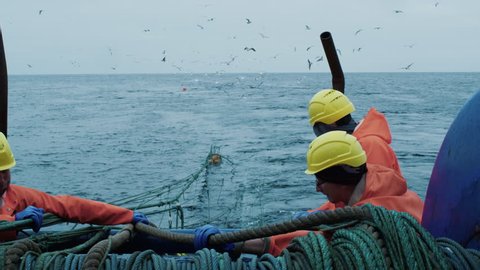 Crew of Fishermen Work on Commercial Fishing Ship that Pulls Trawl Net. Shot on RED Cinema Camera in 4K (UHD).