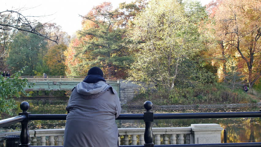 A Man Looks out over an Active Park Scene, Turns, Smiles, and Acknowledges the Camera