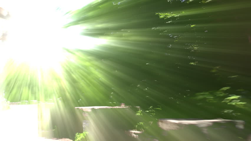 Driving on a mountain road with light beams through trees