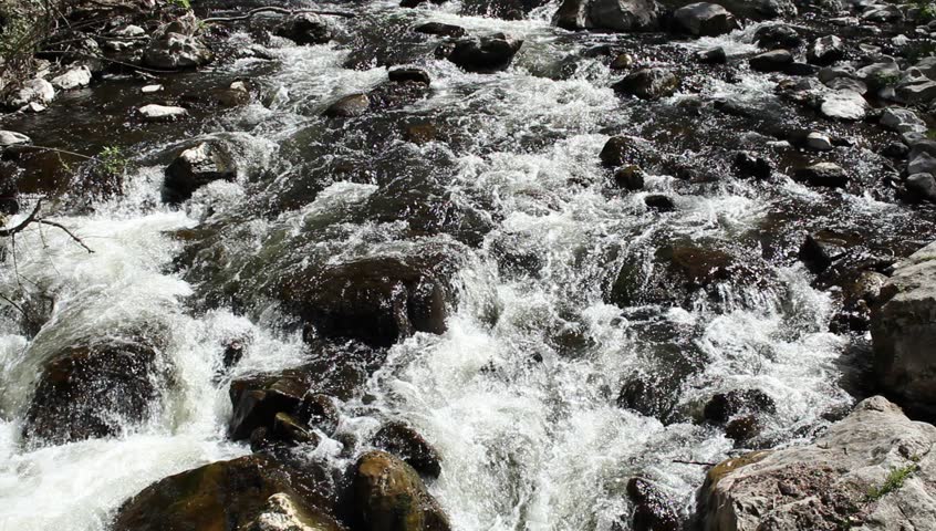 pure mountain spring