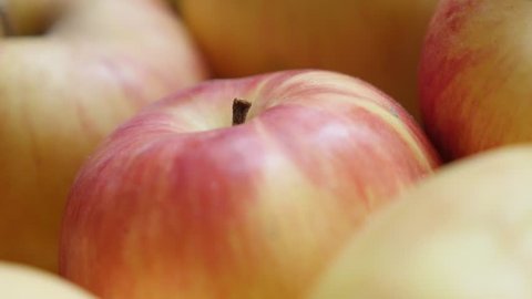 Shallow DOF tilting on Malus pumila domestica fresh fruit background 4K 2160p UHD footage - Pile of organic fresh apples close-up 3840X2160 UHD video स्टॉक व्हिडिओ