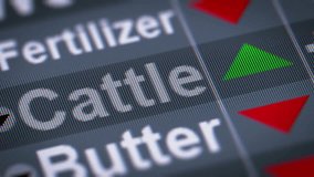 Cattle index of stock market. Up. Looping. - Powered by Shutterstock - Get 15% off with code: PIKWIZARD15