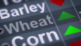 Wheat index of stock market. Up. Looping. - Powered by Shutterstock - Get 15% off with code: PIKWIZARD15