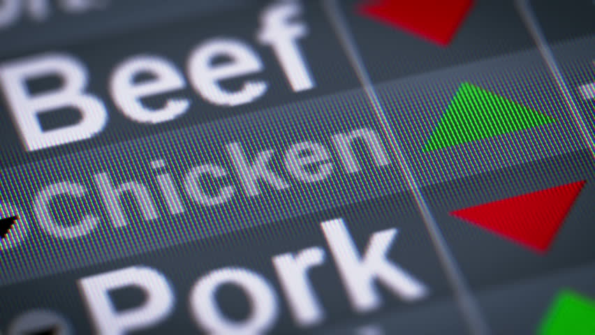 Chicken index of stock market. Up. Looping. - Powered by Shutterstock - Get 15% off with code: PIKWIZARD15