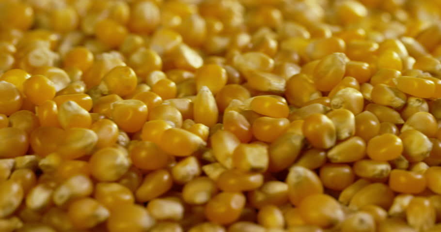 Grains Corn Wheat Popcorn On Wooden Stock Footage Video (100% Royalty-free)...