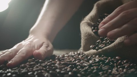 human hands to touch high-quality coffee beans to scatter, bag jute, slow motion