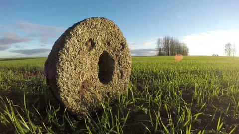 Ancient millstone in crop field, memory concept, time lapse 4K