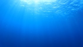 Underwater in ocean with sunlight