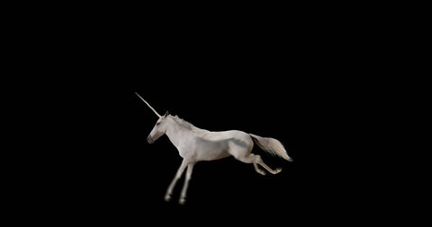 Pegasus and winged Unicorn flying on a transparent background. The first flying horse with horn, and the second without horn. Isolated and cyclic animation. Seamless loop. Alpha channel. 