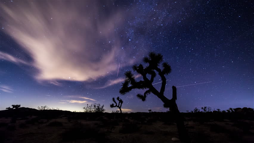 Milky Way and Joshua Tree Timelapse, California