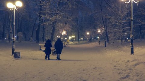 People with dogs are walking down the alley of the the park in winter night  : vidéo de stock