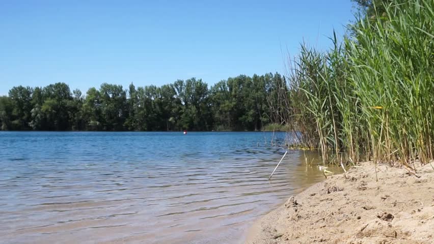 lake side on a summer day