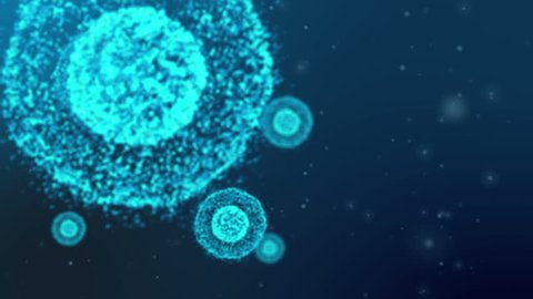 An animation of microscopic cells organism floating in liquid