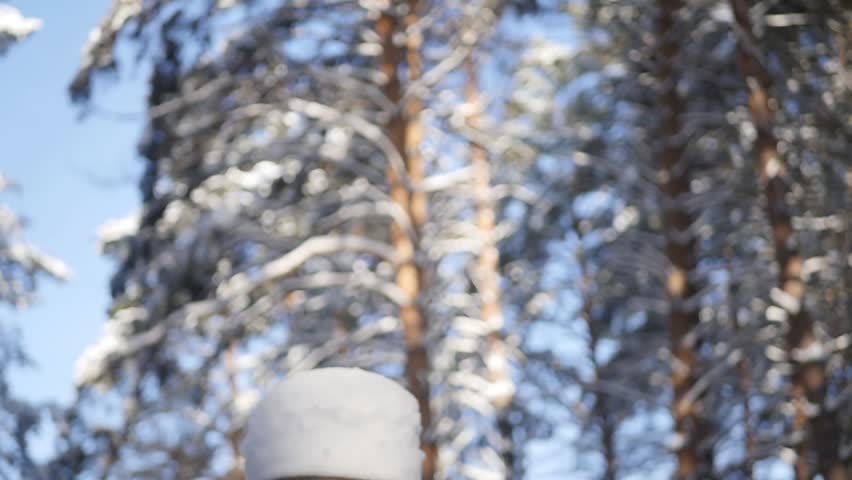 wooden statue in the snow