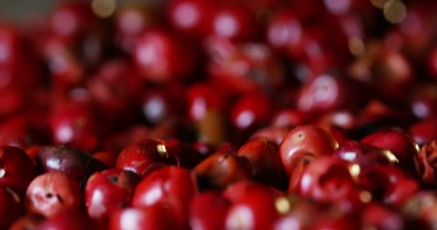 pink peppercorns placed on a kitchen table.
Extreme macro of a Himalayan pepper berries.
concept of fresh and dietary spices for cooking schools and vegans and dietary products.