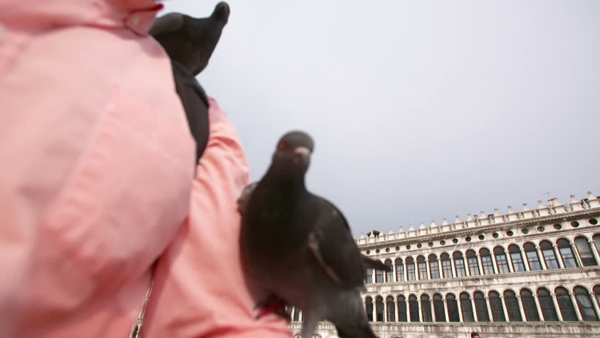 Man feeding pigeons on St. Mark