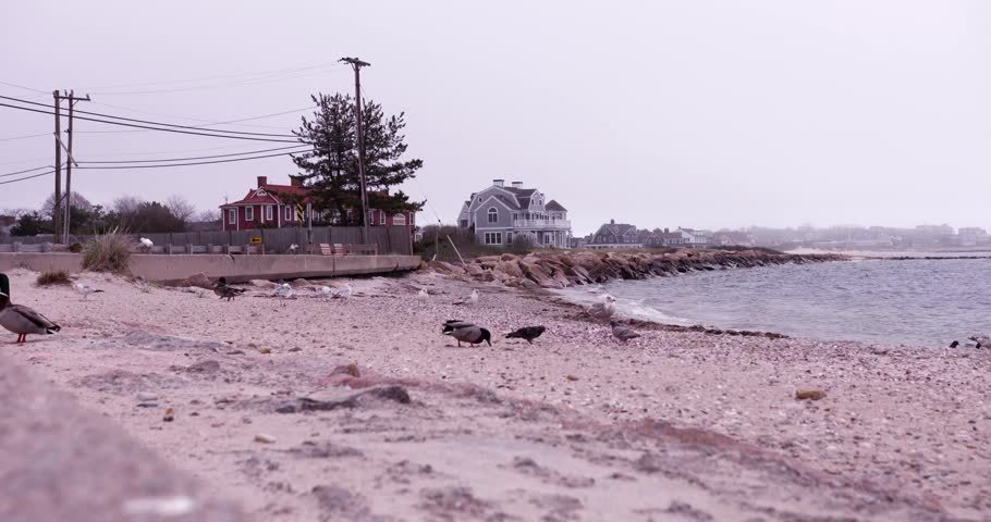 Cape Cod Beach Scene