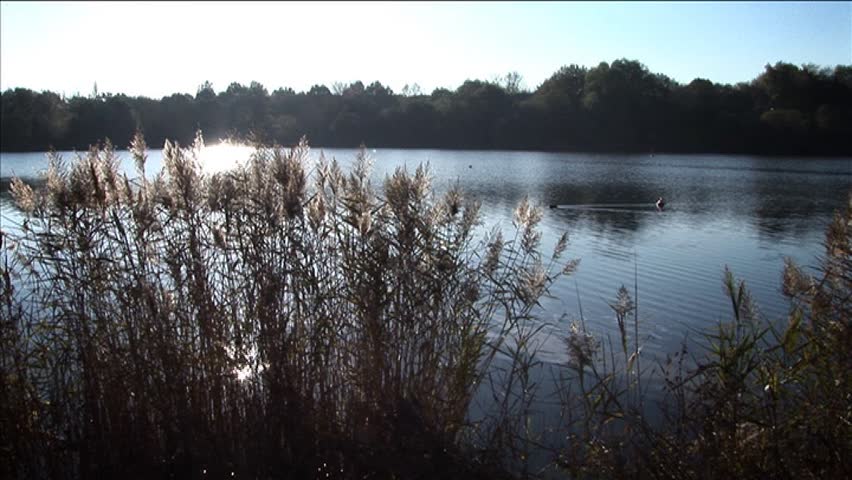 Summer lake in sun