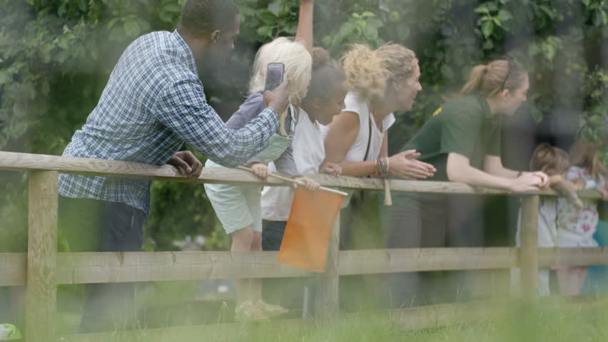 Happy mixed ethnicity family at the farm zoo watching pig racing