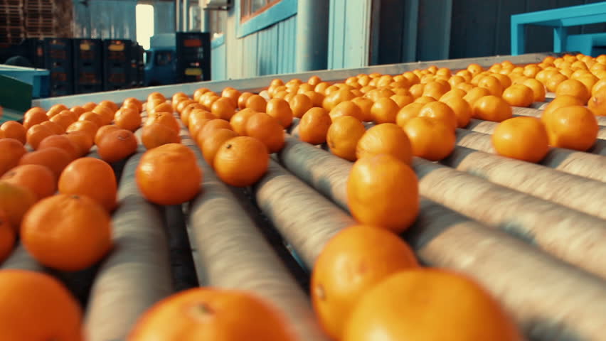 Tangerines In Refinery Factory6 Royalty-Free Stock Footage #22058212
