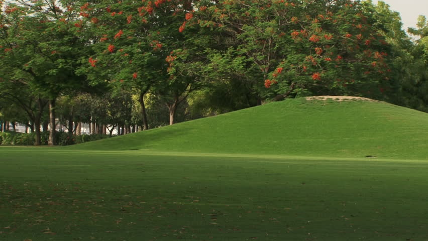 Urban green spaces, Dubai. MCU pan-right across a landscaped park with a green lawn and hillocks surrounded by trees. (Dubai, UAE-2013)