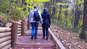 Couple walks outdoor in the autumn Park. Man and woman holding hands, romantic scene. Shoot from the back. Full HD video stock footage