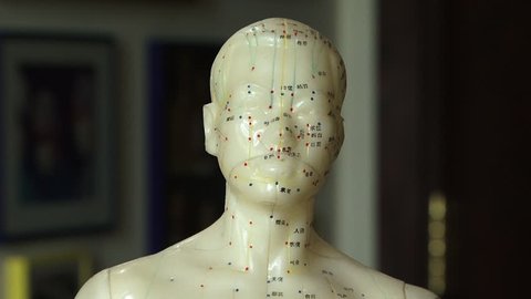 Acupuncture. Tilt-down on the body of a mannequin mapped with acupuncture energy meridians and needle points. (Dubai, UAE-2013)